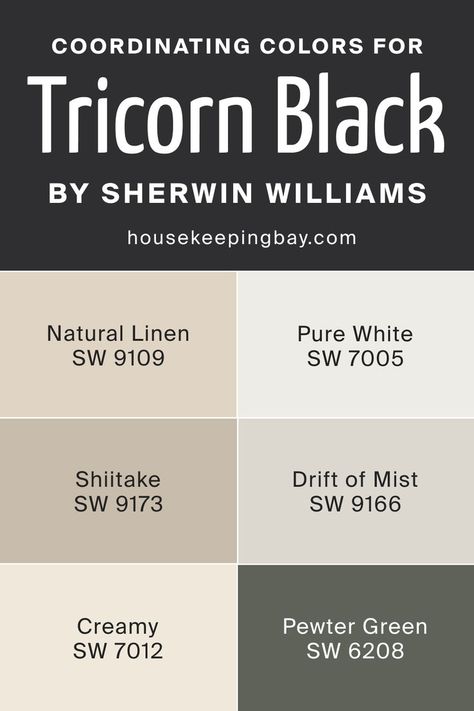 Coordinating Colors for Tricorn Black SW 6258 by Sherwin Williams Pewter Green Sw, Drift Of Mist, Sherwin Williams Creamy, Tricorn Black, Baby Room Design, Countryside House, Kitchen Color, Paint Colors For Living Room, Paint Palette