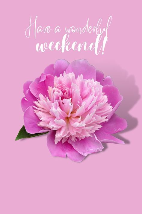 Have A Great Weekend Quotes, Happy Weekend Pictures, Love Good Morning Quotes, Happy New Month, Have A Wonderful Weekend, Aloha Friday, Weekend Quotes, Today's Quote, Hello Weekend