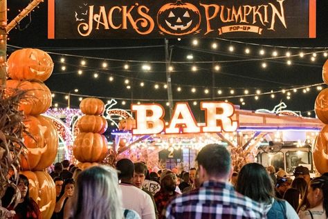 Things to do 📍Chicago Jacks Pumpkin Popup https://www.jackspumpkinpopup.com Chicago Fall, Giant Pumpkin, Seasonal Cocktail, Pop Up Bar, Plumbing Services, Pumpkin Party, Corn Maze, Fall Activities, Learn To Dance