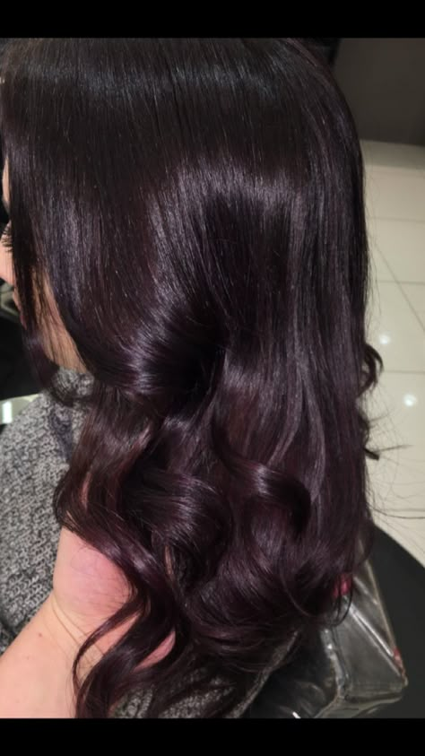 Dark Black Plum Hair Color, Black Hair With Burgundy Tint, Black Cherry Coke Hair Color, Black Mahogany Hair Color, Dark Hair Violet Undertone, Blackberry Burgundy Black Hair, Jet Black Hair With Red Tint, Subtle Plum Hair, Cherry Coke Balayage Dark Brown