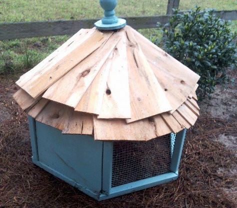 Chicken Dirt Bath, Chicken Dust Bath, Build A Chicken Coop, Chicken Coup, Dust Bath, Chicken Coop Run, Chickens And Ducks, Backyard Poultry, Raising Backyard Chickens