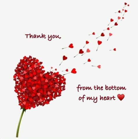 Thank You From The Bottom Of My Heart Love Quotes Heart Love Quotes, Thank You Quotes For Friends, Thank You Quotes Gratitude, Thank You Messages Gratitude, Thank You For Birthday Wishes, Thank You Sister, Happy Birthday Niece, Thank You Pictures, Thank You Wishes