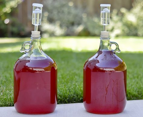 10 Of The Best Mead Recipes Mead Recipes, Mead Making, Honey Mead, Mead Wine, How To Make Mead, Mead Recipe, Homemade Alcohol, Honey Wine, Brewing Recipes