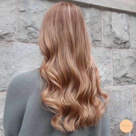 Champagne Blonde Hair, Baylage Hair, Copper Blonde Hair, Blonde Hair Transformations, Strawberry Blonde Hair Color, Strawberry Hair, Peach Hair, Warm Blonde, Honey Blonde Hair