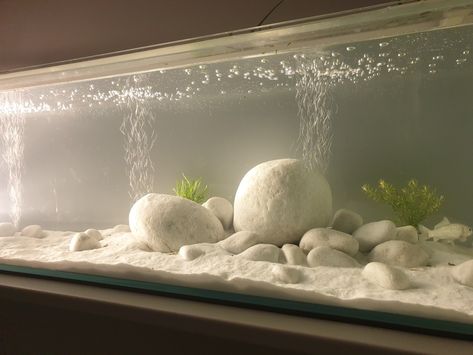 All White Fish Tank, White Fish Tank Ideas, Boho Fish Tank Decor, Minimalist Fish Tank, White Sand Aquarium, Minimalist Aquarium, White Aquarium, Tank Terrarium, Fish Tank Themes