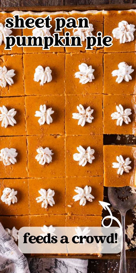 How do you make pumpkin pie for a crowd? With our sheet pan pumpkin pie! Perfectly seasoned pumpkin filling baked in a pie shell. Cut 24 squares for friends and family. Pumpkin Pie Recipe Sheet Pan, Pumpkin Pie In A Sheet Pan, Sheet Pumpkin Pie, Slab Pumpkin Pie Recipe, Sheet Pan Pie 4 Flavor, Pumpkin Pie Sheet Cake, Sheet Pan Pumpkin Pie Bars, Pumpkin Pie Sheet Pan Recipe, Pumpkin Sheet Pie