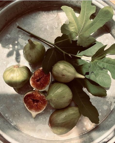 The Bell Jar, Fig Tree, Green Aesthetic, Food Styling, Aesthetic Food, Mood Boards, Fig, Diner, Food Photography