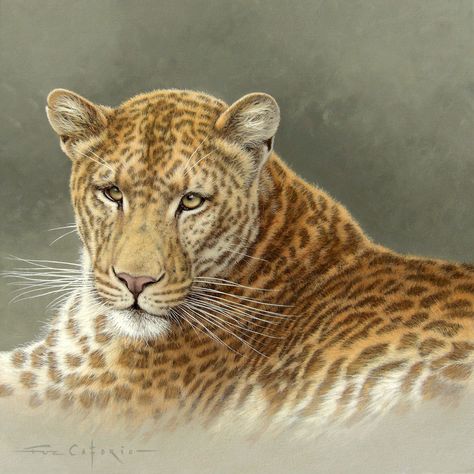 Strawberry Leopard, Leopard Artwork, Wildlife Artists, Cheetahs, Animals Art, Large Cats, Paintings And Drawings, Leopards, Wildlife Art