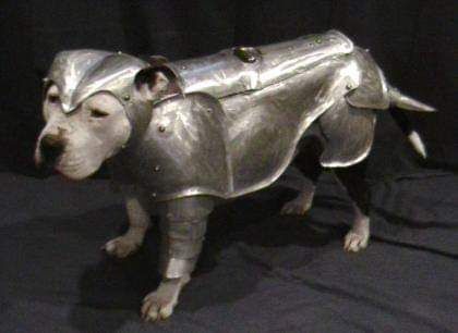 Dog Armor, Knight In Shining Armor, Dog Halloween Costumes, Medieval Armor, Dog Costumes, Dog Costume, Pit Bull Terrier, Pitbull Dog, Canine Companions