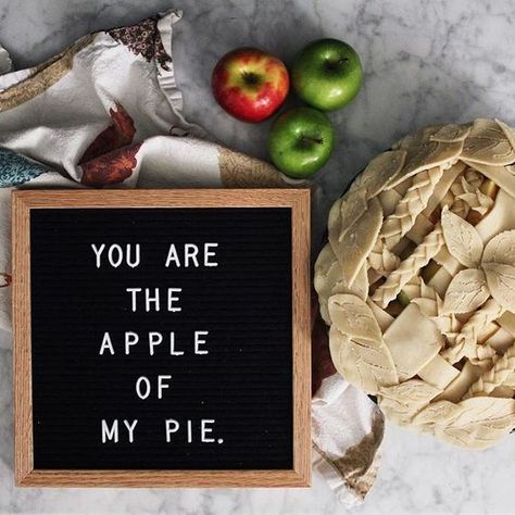 The Best Fall Letter Board Sayings and Quotes Fall Letterboard Quotes, Fall Letterboard, Pie Quotes, Quotes Classroom, Letterboard Signs, Board Sayings, Letterboard Quotes, Message Board Quotes, Thanksgiving Messages