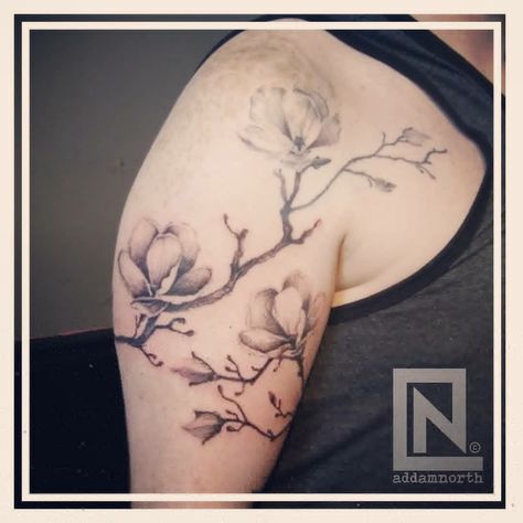 Flowering Tree Tattoo, Dogwood Tree Tattoo, Magnolia Tree Tattoo, Dogwood Flower Tattoo, Dogwood Flower Tattoos, Dogwood Flower, Amazing Tattoos, Dogwood Flowers, Owl Tattoo