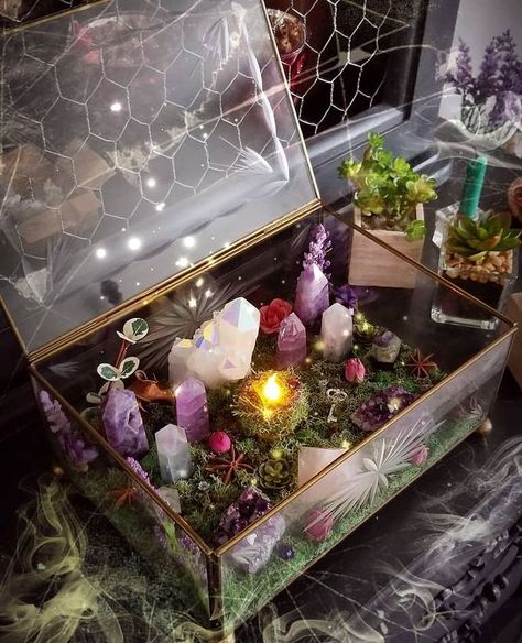 Crystal Garden Terrarium, Meditation Ideas, Crystal Alter, Green Witch Aesthetic, Wild Witch, Witch Crystals, Crystal Terrarium, Crystal Room Decor, Crystal Bedroom