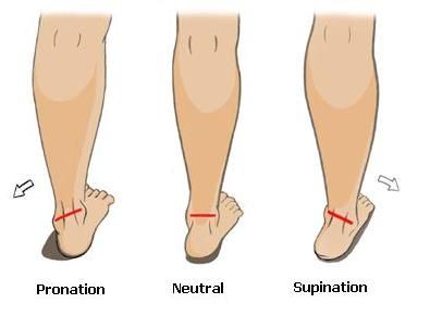 Ankle ROM Pronation - Supination Ectomorph Body, Calf Training, Calf Exercises, Big Calves, Calf Stretches, How To Get Bigger, Workout Splits, Pediatric Nurse, Calf Raises