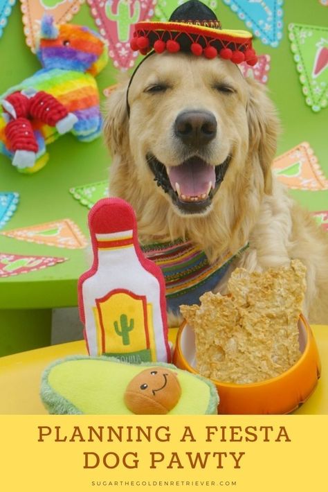 Apple Birthday Party, Dog Party Food, Dog Party Games, Dog Party Invitations, Dog Party Ideas, Lets Pawty, Dog Party Favors, Dog Party Decorations, Apple Birthday