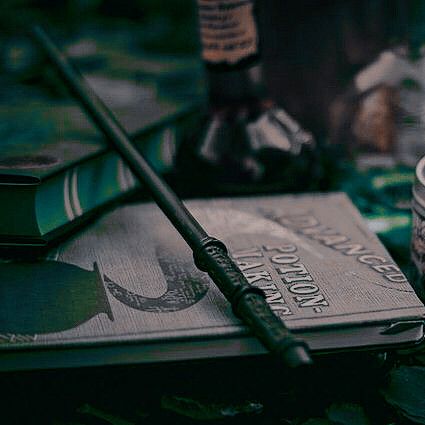 Slytherin Common Room, Slytherin Wallpaper, Harry Potter Oc, Harry Potter Wall, Harry Potter Book, Draco Malfoy Aesthetic, Slytherin Pride, Images Harry Potter, Dark Green Aesthetic