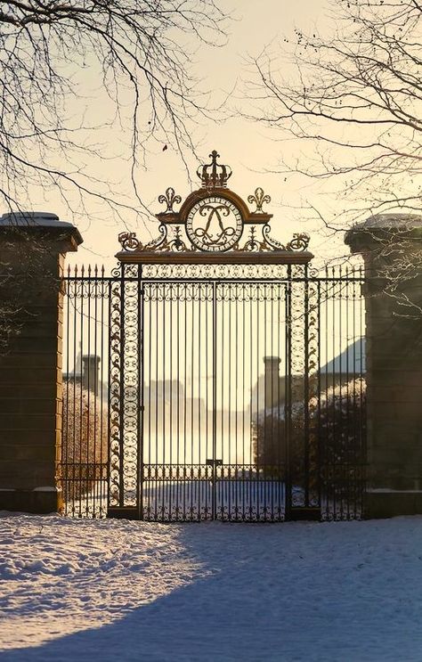 18th Century House, Grill Gate, Iron Railings, Chateau Versailles, Iron Gate Design, Duplex House Design, Wrought Iron Gates, Iron Railing, Iron Gates