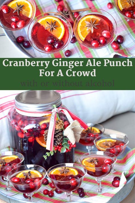 Cranberry Ginger Ale Punch Non Alcoholic, Cranberry Ginger Ale Punch, Punch With Ginger Ale, Ginger Ale Punch, Ginger Ale Drinks, Ginger Ale Cocktail, Cranberry Ginger Ale, Cranberry Lemonade, Thanksgiving Punch