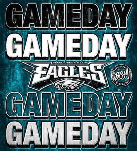 Eagles Memes, Its Game Day, Eagles Game, Go Eagles, Birthday Girl Quotes, Philadelphia Eagles Fans, Philadelphia Eagles Football, Eagle Nest, Eagles Fans