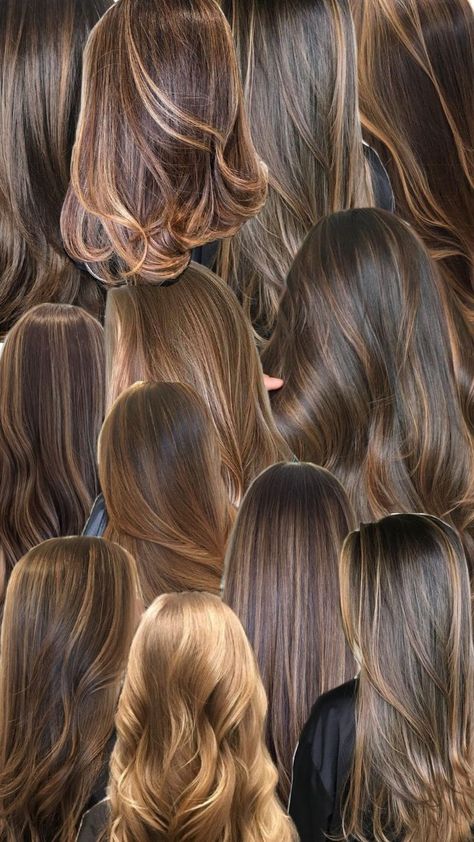 I LOVE HOW CARMEL HIGHLIGHTS LOOK ON PEOPLE 🛐🛐 Carmel Highlights, Honey Brown Hair, Highlights Hair, Highlights Brown Hair, Look On, Hair Highlights, Hair Inspo, Hair And Nails, Brown Hair