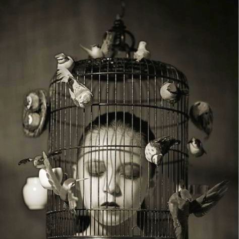 Feeling trapped Michel De Montaigne, Wow Art, Bird Cages, Art And Illustration, Pics Art, Surreal Art, Aphrodite, Bird Cage, Black And White Photography