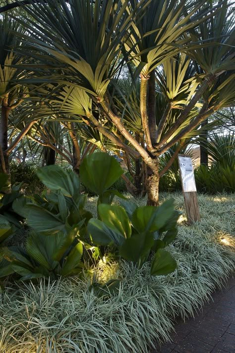 Tropical Hardscape, Tropical Garden Lighting, Modern Landscape Lighting Design, Design A Garden, Dream Garden Backyards, Front Lawn Landscaping, River Rock Garden, Tropical Landscape Design, Small Garden Ideas