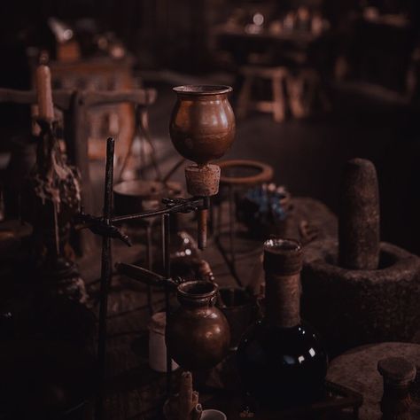 Herbalist Shop, Der Joker, Queen Of Nothing, Harry Potter Aesthetic, Season Of The Witch, Witch Aesthetic, Dark Academia Aesthetic, Fantasy Aesthetic, Academia Aesthetic