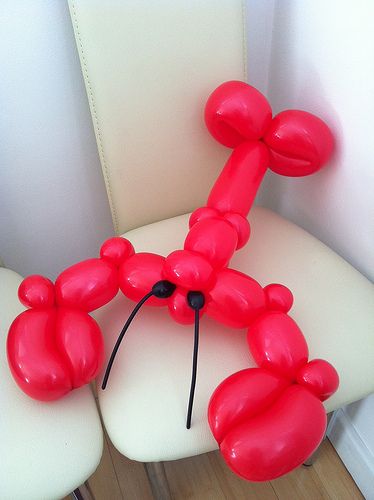 photo Balloon Animal Aesthetic, Ballon Animal Ideas, Cute Balloon Animals, Cool Balloon Ideas, Balloon Animal Ideas, Balloon Twisting Ideas, Ballon Animal, Lobster Boil, Twisting Balloons