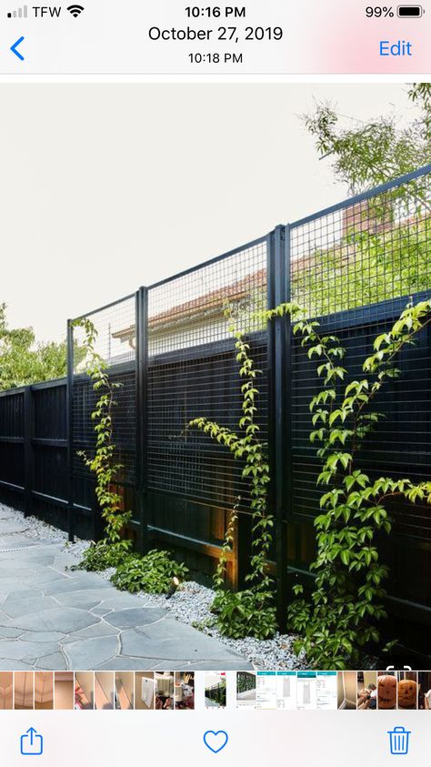 Fence Extension Ideas, Walled Garden, Beautiful Home Gardens, Privacy Fence Designs, Pergola Design, Building A Pergola, Backyard Privacy, Garden Screening, Garden Vines