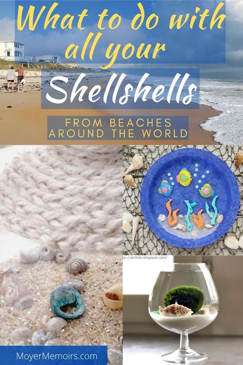 Beach Vacation Souvenirs Diy, Shell Souvenir Ideas, Seashell Souvenir Ideas, Seashell Memory Craft, Seashell Decoration Ideas, Diy Beach Souvenirs, Sand And Seashell Crafts, Beach Sand And Shells Keepsake, Beach Memory Ideas