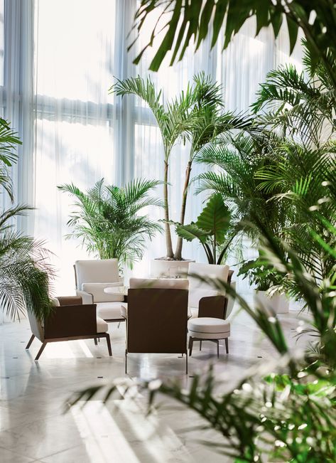 Miami Beach Edition, Vincenzo De Cotiis, Miami Decor, Edition Hotel, Hotel Lobby Design, Tall Plant, Coastal Bathrooms, Lounge Design, Coastal Living Room