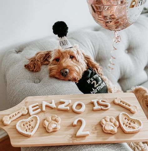 Puppy Birthday Aesthetic, Aesthetic Dog Birthday, Dog Birthday Party Photo Shoot, Dog Birthday Picture Ideas, Dog Birthday Ideas Pictures, Dog Birthday Pictures, Babies Rooms, Dog First Birthday, Living With Dogs