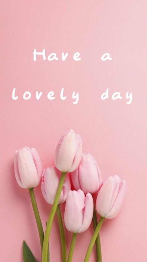 Have A Nice Day Quotes, Have A Nice Day Images, Greetings For The Day, Funny Happy Birthday Song, Inspirational Good Morning Messages, Good Night Wallpaper, Good Morning Tuesday, Birthday Wishes Flowers, Good Morning Beautiful Flowers