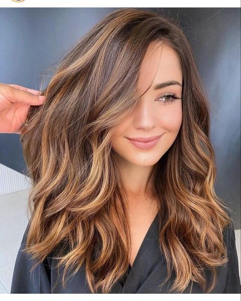 Brunette Hair With Highlights, Brown Hair With Blonde Highlights, Brown Hair Balayage, Hair Color And Cut, Hair Color Balayage, Hair Inspiration Color, Hair Inspo Color, Light Hair, Ombre Hair