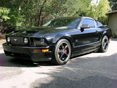 06 Mustang, Mustang Gt Black, 2006 Mustang Gt, 64 Mustang, Mustang S197, 2006 Mustang, 2005 Ford Mustang, Cars 2006, Car Life