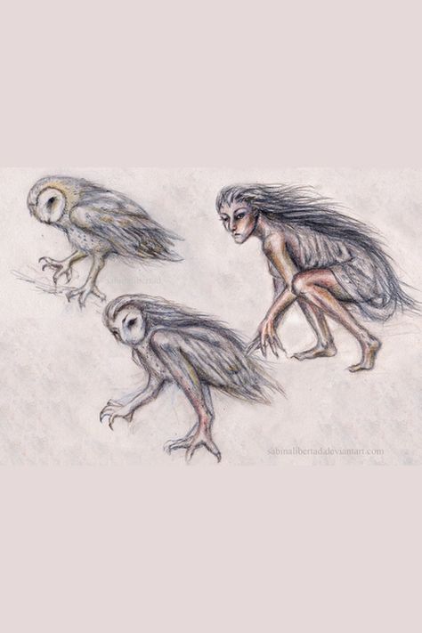 La Lechuza (the Witch Owl) Scary Owl, Scary Paintings, Owl Witch, Witch History, Parapsychology, Mythical Creatures Fantasy, Mayan Culture, Utila, Flash Art