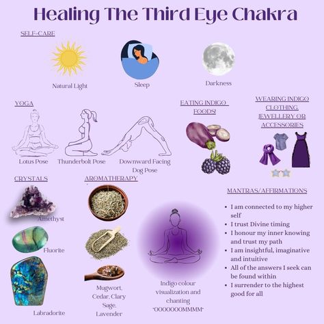 Third Eye Chakra: The Gateway to Our Intuition and Insight Small Daily Habits, Heart Chakra Meditation, The Third Eye Chakra, 3rd Eye Chakra, Chakra Healing Meditation, Find Purpose, Chakra Health, Chakra Alignment, Chakra Affirmations