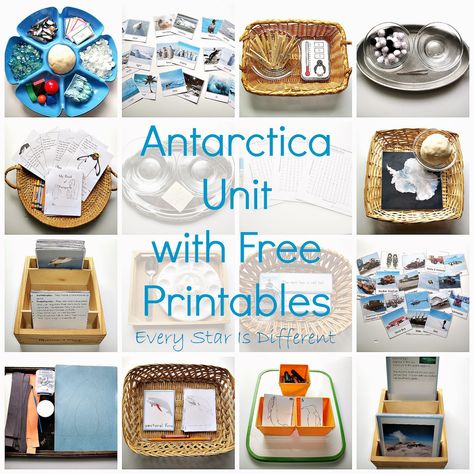 Antarctica Unit w/ Free Printables from Every Star Is Different Antarctica Activities For Kids, Antarctica Activities, Montessori Works, Montessori Geography, Montessori Printables, Winter Unit, Montessori Elementary, Montessori Method, Montessori Lessons