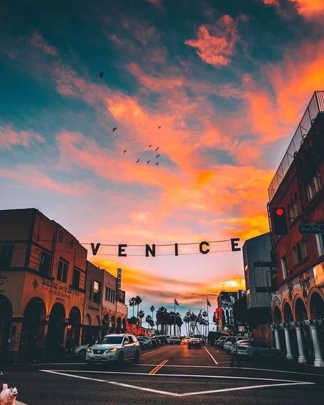 Venice Beach California, Single Travel, Venice California, California Dreaming, Venice Beach, Travel Inspo, Santa Monica, Solo Travel, Travel Dreams