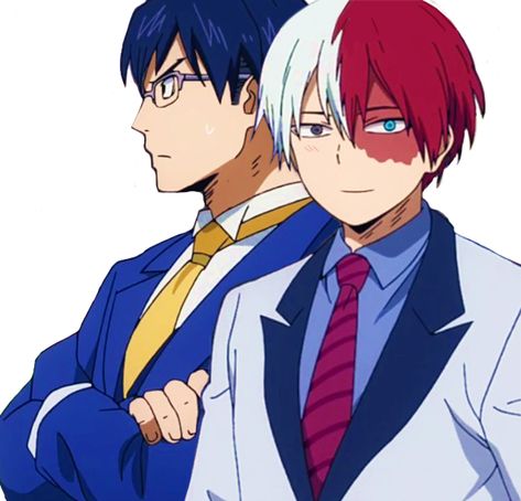 Todoroki And Iida, Iida Tenya, Tenya Iida, Hero Academia Characters, Most Favorite, Bird Feathers, Hero Academia, My Hero Academia, Birds