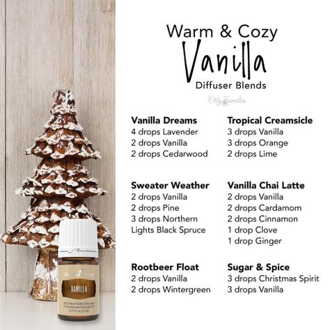 Vanilla oleoresin has a rich, warm, comforting aroma with sweet top notes. It blends well with most essential oils including mints, citrus, spicy, and woodsy oils. Try these warm and cozy vanilla diffuser recipes this holiday season! Living Oils Recipes, Essential Oil Combinations, Essential Oil Diffuser Blends Recipes, Young Living Essential Oils Recipes, Essential Oils Guide, Essential Oil Diffuser Recipes, Oil Diffuser Recipes, Yl Essential Oils, Essential Oil Mixes