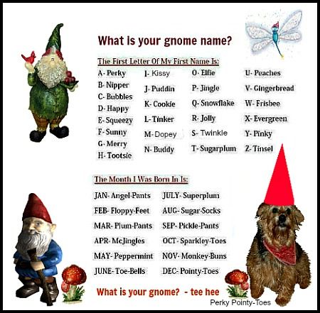 Abigail asks "What is your gnome name?" Gnome Scavenger Hunt, Gnome Names Generator, Gnome Birthday Party Games, Gnome Names Funny, What Is Your Fairy Name, Gnome Christmas Party Games, Gnome Christmas Party Ideas, Gnome Birthday Party Ideas, Gnome Party Games