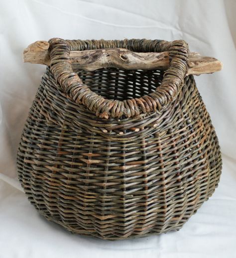 Salix Americana - lakeshore willows Basket Willow, Living Willow, Unique Website, Wicker Laundry Basket, Decorative Wicker Basket, To Grow, Baskets, Handles, Weaving