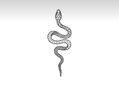 Small Snake Tattoo, Snake Tail, Black And White Snake, Snake Tattoos, Small Snakes, Red Tattoos, Cute Small Tattoos, White Snake, Band Tattoo