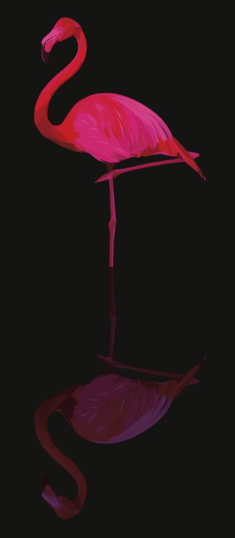 Flamingo Illustration, Behance Design, Iphone Wallpaper Aesthetic, Flamingo Wallpaper, Wall Paper Phone, Wallpaper Iphone Wallpaper, Flamingo Christmas, Flamingo Art, Flamingo Party