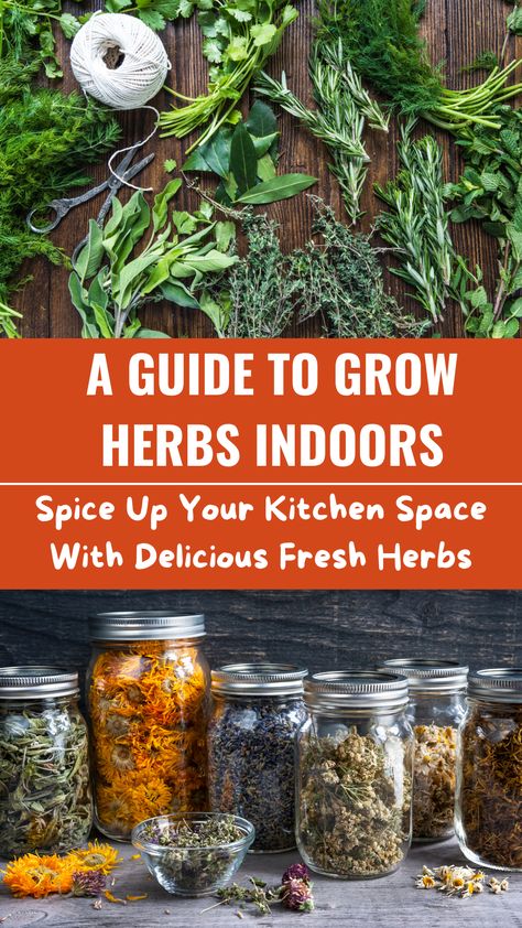 Herb garden indoor Kitchen Herbs Indoor, Apartment Herb Gardens, Herb Garden Indoor, Indoor Herb Garden Diy, Spice Garden, Diy Herb Garden, Indoor Herb, Kitchen Herbs, Garden Indoor