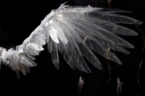 Clipped Wings Aesthetic, Damaged Angel Wings, Broken Wings Angel, Wings Pixel Art, Wings Graphic Design, Wings Aesthetics, Torn Wings, Wax Wings, One Winged Angel