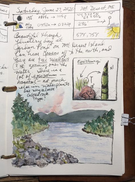 Nature Journaling for a Wild Life – Reader Page — Exploring Overland Nature Journaling Prompts, Field Notebook Nature Journal, Fantasy Field Journal, John Muir Laws Nature Journaling, Nature Journal Pages, Nature Journaling Ideas, Field Journal Ideas, Field Journal Aesthetic, Nature Journal Aesthetic