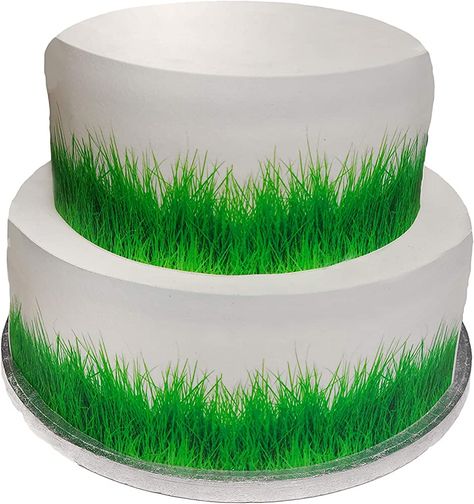 Grass Cake, Cakes Easy, Cake Borders, 2 Tier Cake, Butter Icing, Cake Craft, Icing Sheets, Childrens Birthday Cakes, Edible Ink