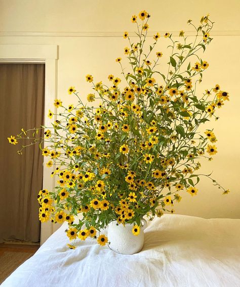 Rudbeckia Triloba, Cream Room, Room Arrangement, Sunflowers And Daisies, Flower Vase Arrangements, White Bed, Window Light, Meadow Flowers, Flower Therapy