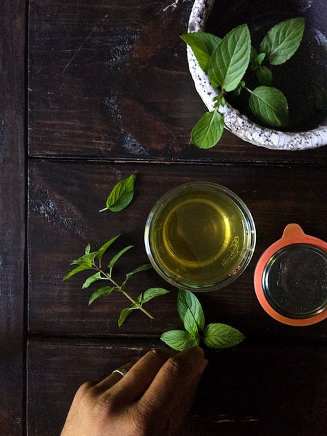 Chocolate Mint Simple Syrup, Chocolate Mint Plant, Homemade Syrups, Mint Syrup, Chocolate Extract, Mint Coffee, Weck Jars, Mint Simple Syrup, Simple Syrup Recipes